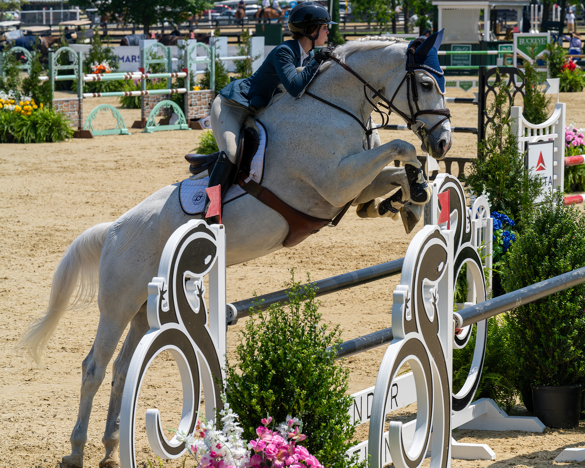 Cash Money ridden by Stella Buckingham